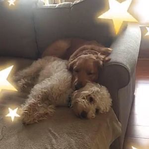 Meet your Posher, Avery